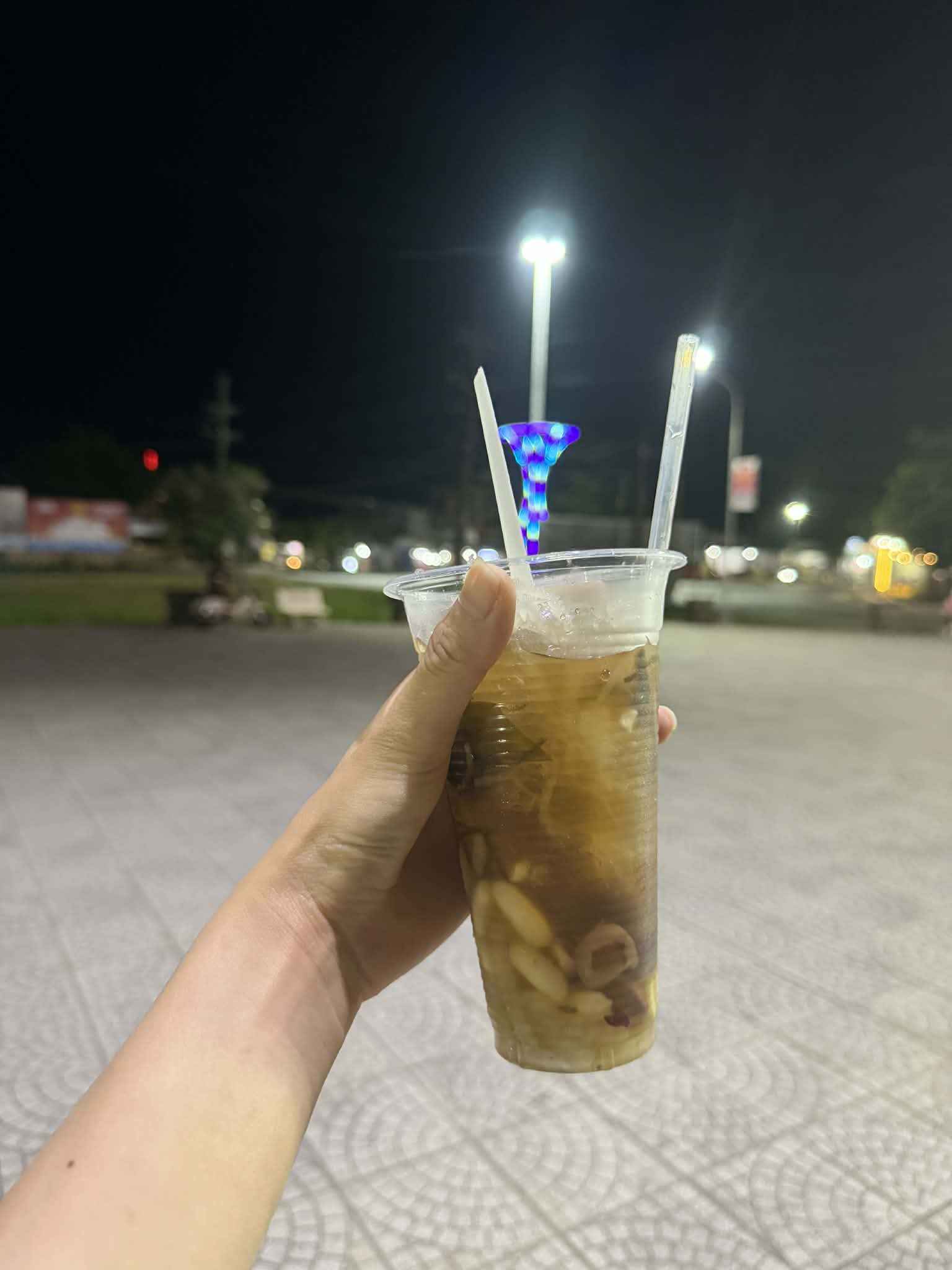 Sâm bổ lượng
